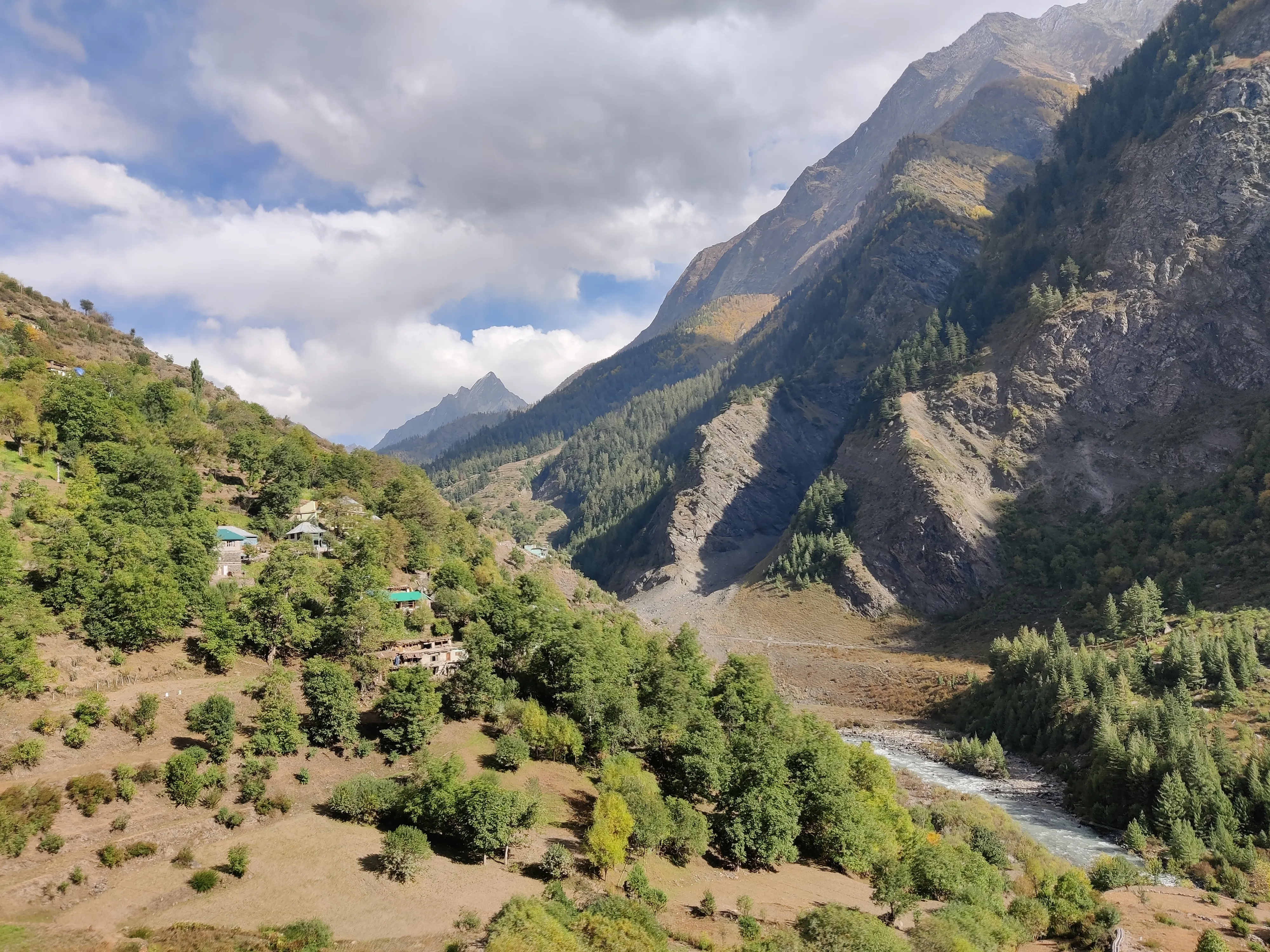 Initiative on Forest Economy